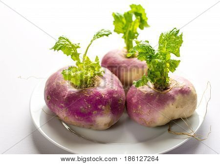 Closeup of three organic purple turnips with leaves on a white plate and background