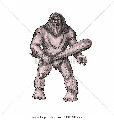 Tattoo style illustration of a Bigfoot or Sasquatch a simian-like creature of American folklore that inhabit forests usually described as a large hairy bipedal humanoid standing holding club viewed from front set on isolated white background.