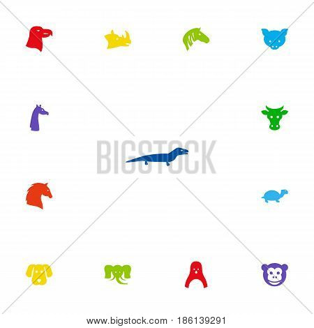 Set Of 13 Beast Icons Set.Collection Of Camelopard, Hog, Rhinoceros And Other Elements.