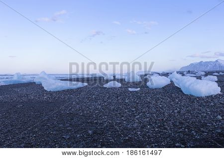 Ice on black sand and small rock beach Iceland natural landscape winter season background