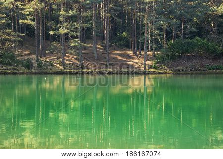 Beautiful Vibrant Landscape Image Of Old Clay Pit Quarry Lake With Unusual Colored Green Water