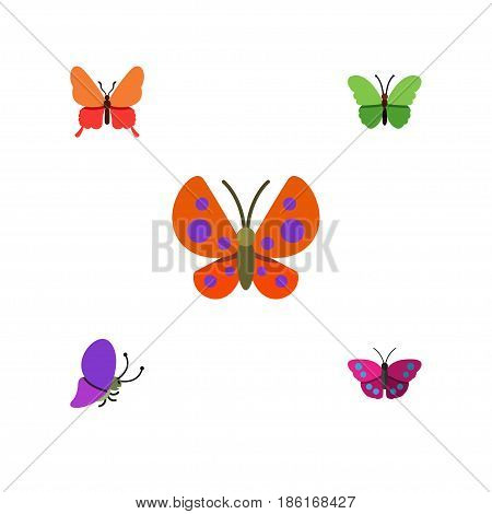 Flat Monarch Set Of Milkweed, Moth, Summer Insect And Other Vector Objects. Also Includes Butterfly, Archippus, Milkweed Elements.