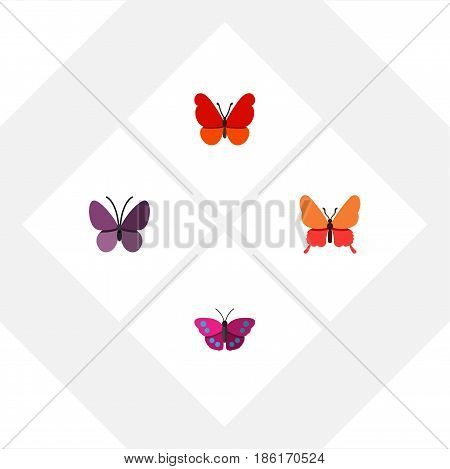 Flat Butterfly Set Of Violet Wing, Archippus, Danaus Plexippus And Other Vector Objects. Also Includes Moth, Monarch, Summer Elements.