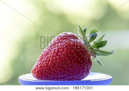 Strawberry On A Motley Background