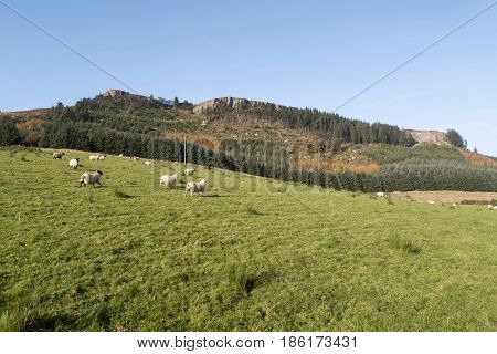 Devil's Bit Mountain located in County TipperaryIreland