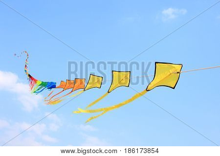colorful kites tie in a single line floating in the air