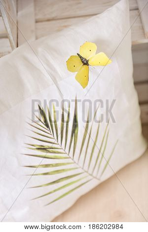 white daffodils with butterflies, spring background of flowers.