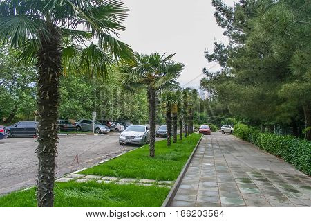 The Access Road To The Sanatorium 