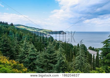 The Territory Of Sanatorium 