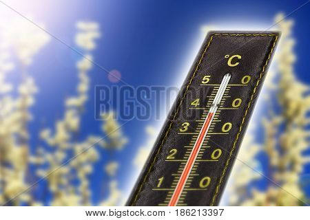 Thermometer with hot temperature catkin background and lens flare