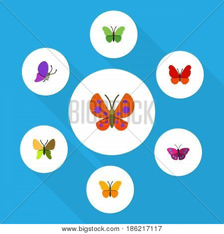 Flat Moth Set Of Summer Insect, Moth, Milkweed And Other Vector Objects. Also Includes Archippus, Moth, Milkweed Elements.