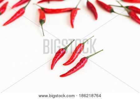 red hot chili peppers, popular spices concept - closeup on few clean and fresh pods of red chili peppers on white background, green tails, collage of freely lying peppers, selective focus