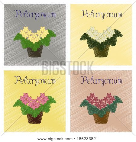assembly flat shading style Illustrations of plant Pelargonium