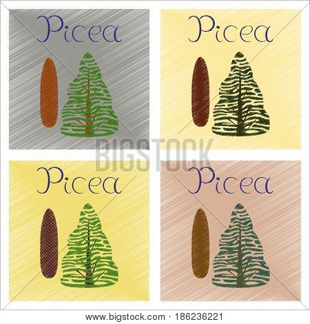 assembly flat shading style Illustrations of plant Picea