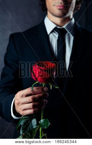 Cropped photo of business man holding a red rose in his hand. He is wearing formal wear