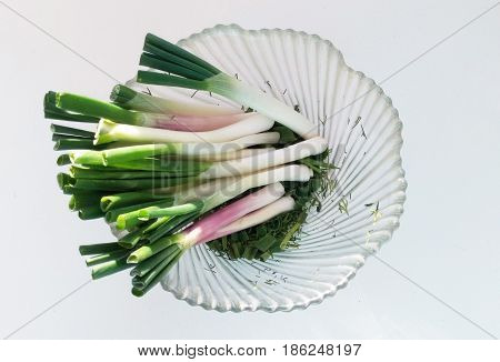 Heap of fresh young onions on the scalloped dish