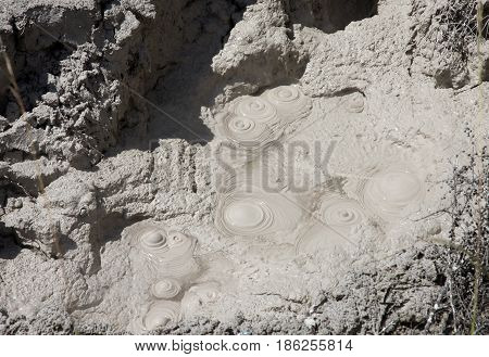 Rotorua Mud Pools