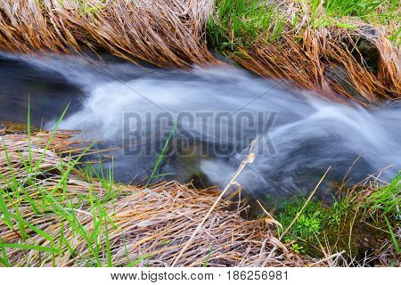 Small creek during spring runoff season