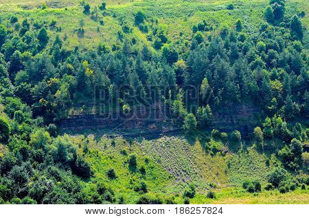 Dry Grass On The Mountain With Blue Sky At Doi Monjong,