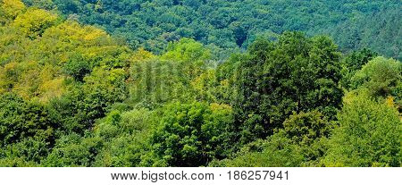 Scenic View Of Chervonohorod Castle Ruins Nyrkiv Village, Ternopil Region, Ukraine