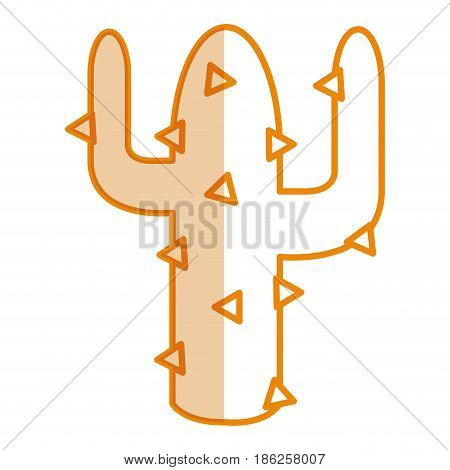 cactus plant isolated icon vector illustration design