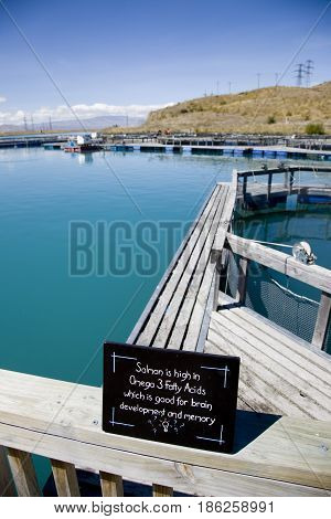 Lake Benmore Salmon Farm