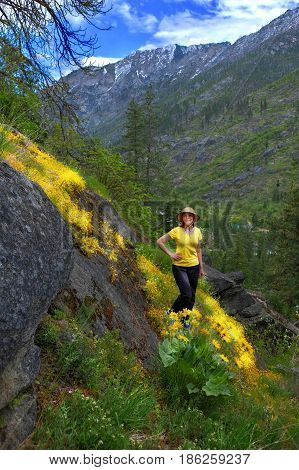 Woman hiker in mountains among yellow wildflowers in spring. Central Cascade Mountains. Seattle. Leavenworth. Washington. The United States.