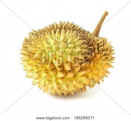 Durian on white background topical fruit .