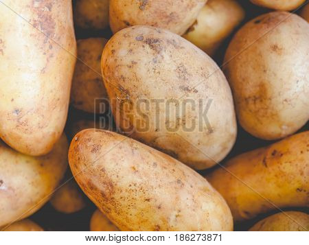 Potato Vegetable, Faded Vintage Look