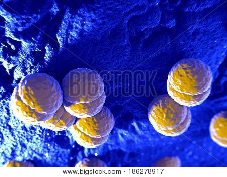 Neisseria meningitidis or meningococcus bacterium. Can cause meningitis or meningococcal disease.3d illustration