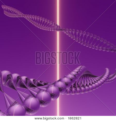 DNA V
