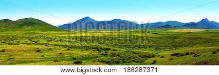 Nature Of East Kazakhstan. Panorama spring green steppe and mountains.