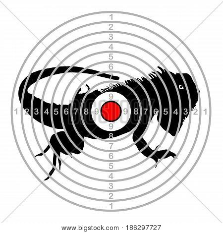 Target shoot range in centre of chameleon