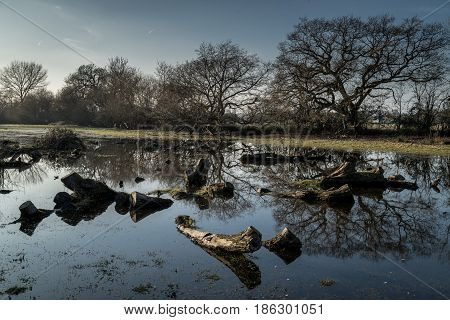 Cookham UK - 13th March 2017: View of Cockmarsh Berkshire UK.