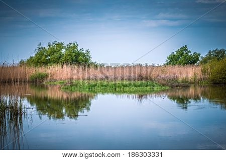 Canal with trees and vegetation reflected in the water. Specific landscape of this area.