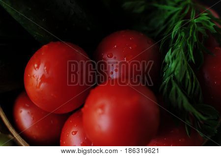 Spring and summer vegetables to your table. Healthy eating. Vegetarian food.Low calories