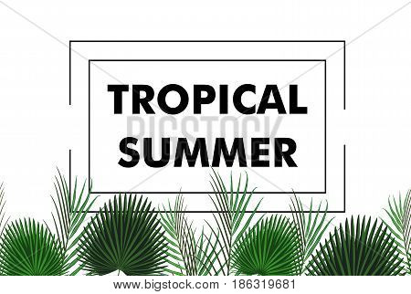 Seamless border with green tropical exotic banana palm leaves on style background and logo note tropical summer. Vector illustration stock vector.
