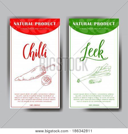 Vegetable food banner. Sketch of fresh leek and chilli. Organic food poster. Vector illustration