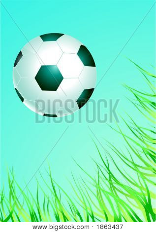 Футбольный мяч