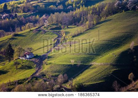 Beautiful wild mountain hills Holbav, Brasov, Romania