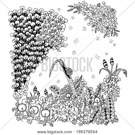Snail on a blade of grass. Zen art. Ornament. Drawn by hand.