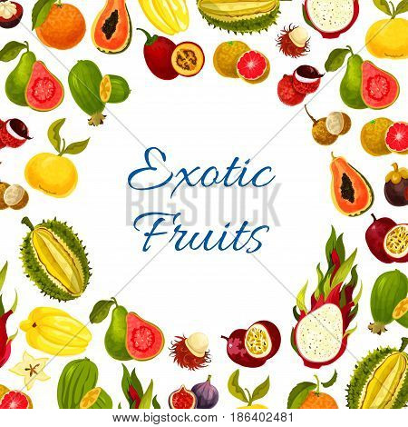 Exotic fruits vector poster of carambola and passionfruit, tropical mango or papaya and orange grapefruit harvest. Juicy dragon fruit, guava or avocado figs and rambutan, feijoa and mangosteen