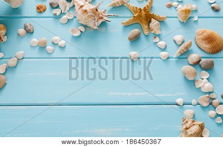 Seashells on blue wood, sea vacation background with copy space on wooden planks, top view