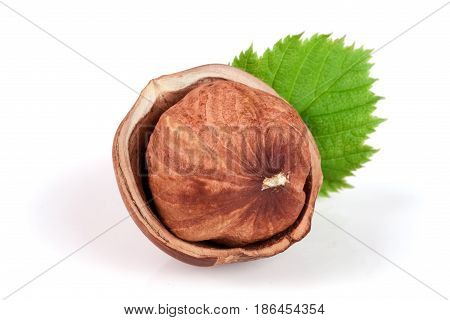 Hazelnuts with leaves isolated on white background.