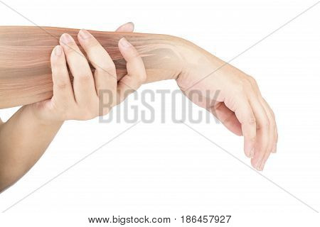 forearm muscle injury white background forearm pain