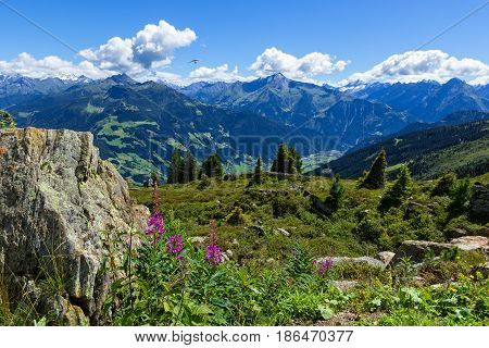 High mountains view with green meadow and stones in the foreground. Zillertal High Alpine Road Austria Tirol Zillertal