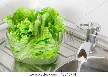 Fresh Lettuce Leaves Soaked In Transparent Plastic Bowl