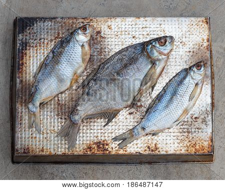 Taranka, Sun Dried Salty River Fish, Classic Beer Snack
