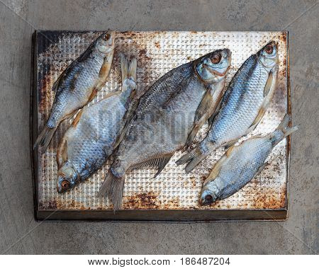 Taranka, Sun Dried Salty River Fish, Classic Beer Snack
