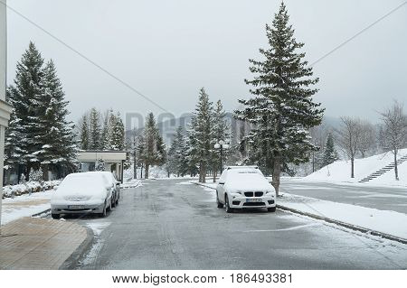 MAVROVO, MACEDONIA - MARCH 11, 2017: Winter near Mavrovo lake in Macedonian republic, fir trees